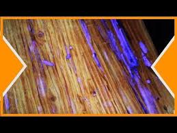pigments phosphorescents resine epoxy sur bois youtube en 2020 resine epoxy epoxy resine epoxy bois
