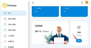 Coinepay充值续费chatgpt完整过程！ – 托尼不是塔克