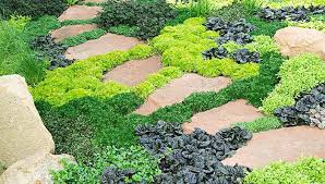 We did not find results for: 6 Ideas For Ground Cover Plants