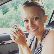 Meadowview Elementary School