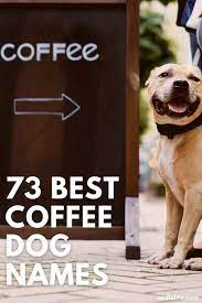 Best espresso coffee machines ukc forums dogs names. 73 Best Coffee Names For Dogs Oodle Life