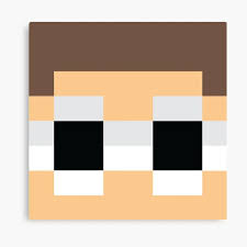 Minecraft Skin Canvas Prints Redbubble His birthday, what he did before fame, his family life, fun trivia facts, popularity rankings youtube gamer who is known for his quackity channel. redbubble