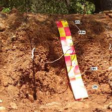 Check spelling or type a new query. Pdf Correlation Of Soil Color Redness Ratings And Weathering Indices Of Terrae Calcis Along A Precipitation Gradient In Northern Jordan