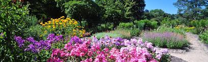 Überzeugt euch selbst, unser team hat ganze arbeit geleistet und wirklich tolle adventsgestecke für euch dekoriert. Botanischer Garten Stiftung Bremer Rhododendronpark