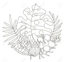 Explore your creativity easily {free coloring pages} by jen evangelista | there is a new trend right now in the arts and crafts world. Hand Drawing Coloring Pages For Children And Adults A Beautiful Illustration For Creative Coloring With Paints And Pencils Coloring Book With Tropical Flowers Monstera Palm Beetle Protea Scarab Royalty Free Cliparts Vectors