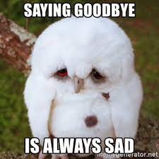 An element of a culture or system of behavior that may be considered to be passed. Saying Goodbye Is Always Sad Sad Owl Baby Meme Generator