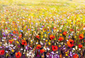 You also get access to our private community forum where you can ask me questions, and to the students' optional facebook group. Red Poppies Flower Field Oil Painting Yellow Purple And White Stock Photo Picture And Royalty Free Image Image 95302910