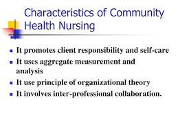 Ppt Introduction To Community Health Nursing Powerpoint Presentation Id 3623987