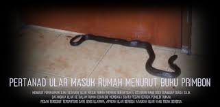 Dan biasanya untuk menghilangkannya cukup mengusir ular tersebut tanpa perlu. 3 Pertanda Ular Masuk Rumah Menurut Islam On Windows Pc Download Free 1 0 Com Karuhunbeta Tigapertandaularmasukrumahmenurutprimbon