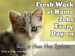 Work At Home Mom Revolution Work At Home Jobs For Moms Cat Spray Cats Cat Facts