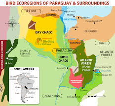 We have reviews of the best places to see in paraguay. Paraguay Birding Nature Pbn