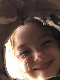 Community project builds new 'hollow' homes for wildlife south of Mandurah 