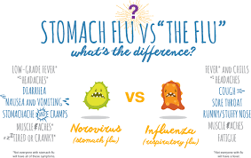 Stomach Flu Symptoms Treatment Remedies Pedialyte