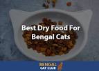 Best Cat Foods for Bengal Cats (Dry & Wet) & Bengal ...