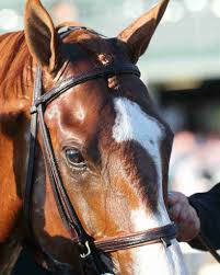 Keeneland Concludes Memorable Fall Meet