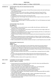 To avoid this competition and to reach the goal soon, you need a better and perfect resume template. Senior Director Finance Resume Samples Velvet Jobs