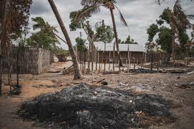 Cabo delgado is the northernmost province of mozambique. Cabo Delgado 24 Bodies Buried After Attack In Palma Plataforma Media