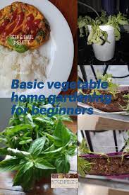 See more ideas about diy cleaning products, household hacks, cleaning household. Basic Vegetable Home Gardening For Beginners Gardening For Beginners Vegetables Home And Garden