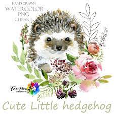 Watercolor Animals Clipart Cute Little Hedgehog Cartoon Etsy In 2021 Forest Animals Illustration Animal Illustration Watercolor Animals