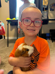 Hey everyone! I'm wanting to switch to liners instead of sawdust. Does  anyone know where I can get liners from please that aren't going to cost a  fortune and that fit my