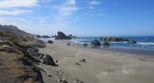 The picture to the right should get you excited about all the beach metal detecting finds that are possible! Metal Detecting Oregon Beaches Oregon Beaches Metal Detecting Oregon Coast
