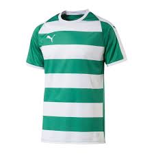 41 results for italy puma trikot. Puma Liga Hooped Trikot Kurzarm Grun Weiss F15 Mannschaftsbekleidung Spieltag Jersey 10099128 10099128
