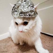 Tin Foil Hat For Cats Tin Foil Hat Crazy Cats Cat Hat