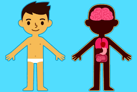 5 Datos Que Tu Nino Debe Saber Sobre Su Cuerpo Antes De Los 10 Anos Familias