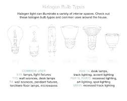 Christmas Light Bulb Size Salvadorhahn Site