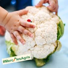 Mercilesagris En 2020 Bledina Nourrir Nourrissons