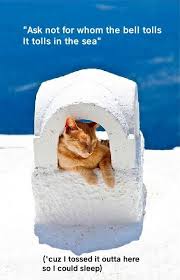 Check spelling or type a new query. For Whom The Bell Tolls Lolcats Lol Cat Memes Funny Cats Funny Cat Pictures With Words On Them Funny Pictures Lol Cat Memes Lol Cats
