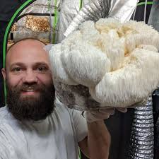 Mushroom Growing Kit Tips