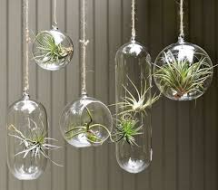 If you hang them inside, it looks like you store. Interior Design With Hanging Planters And Flower Pots