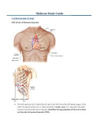 Image result for Point of Maximum Impulse