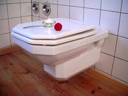 detartrer les wc sans effort guide astuces