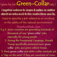 Green Collar Job Related To Natural Environment Vocabularyflashcards Vocabulary Learnvocabulary F Idioms Words Natural Environment Vocabulary Flash Cards