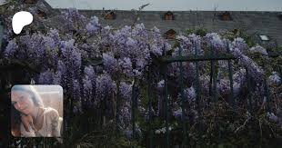 Exclusive Miss Lexa Fan Only - Private Moments