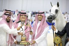 البديعة بيبيتا تعزز تألق أفراس مربط أكمل بتوشحها بذهبية الأفراس دبي 2019 Mare Show Horses Arabian Horse
