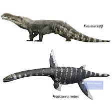 Image result for Triaspis macropteron