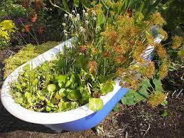 Reuse Bathtub Garden Bog Garden Waste Garden Garden Planters