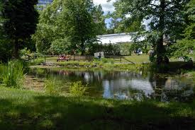 Offizieller facebookauftritt des botanischen garten der friedrich schiller. Botanischer Garten Jena Wikipedia