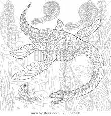 Some of the coloring page names are dinosaur plesiosaurus swimming under water coloring, spinosaurus coloring spinosaurus coloring for, other prehistoric animal coloring dinosaurs in water, swimming coloring at, dinosaur marine plesiosaur jurassic period coloring, lets coloring book prehistoric jurassic world dinosaurs. Coloring Page Of Plesiosaurus Dinosaur Of The Mesozoic Era Freehand Sketch Drawing For Adult Antistress Coloring Book In Zentangle Style Poster Id 208820230