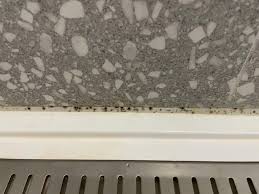 Mould growth in silicone : r/AusRenovation