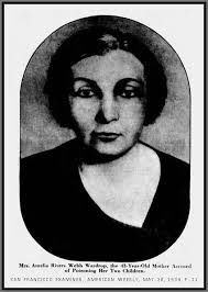 Unknown Gender History: Amelia Rivers Webb Wardrop, Ohio Serial Killer