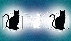 Schrödinger’s Cat