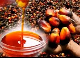 The Historical Importance of Palm Products in Igbo Society || Nnewi City