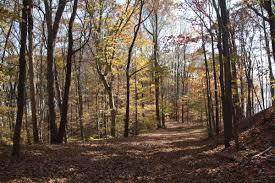 Amy Weingartner Branigin Peninsula Preserve