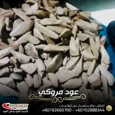 عود موروكي In 2020 Stuffed Mushrooms Food Breakfast