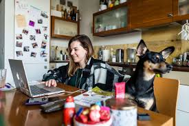 Study on your own schedule with 100% online degree programs. Has University Of The People Proven The Value Of A Free Online Degree