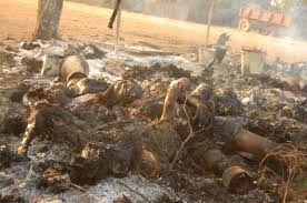 opsrilanka : In the rememberance of Massacre on Tamils in Tamil Eelam